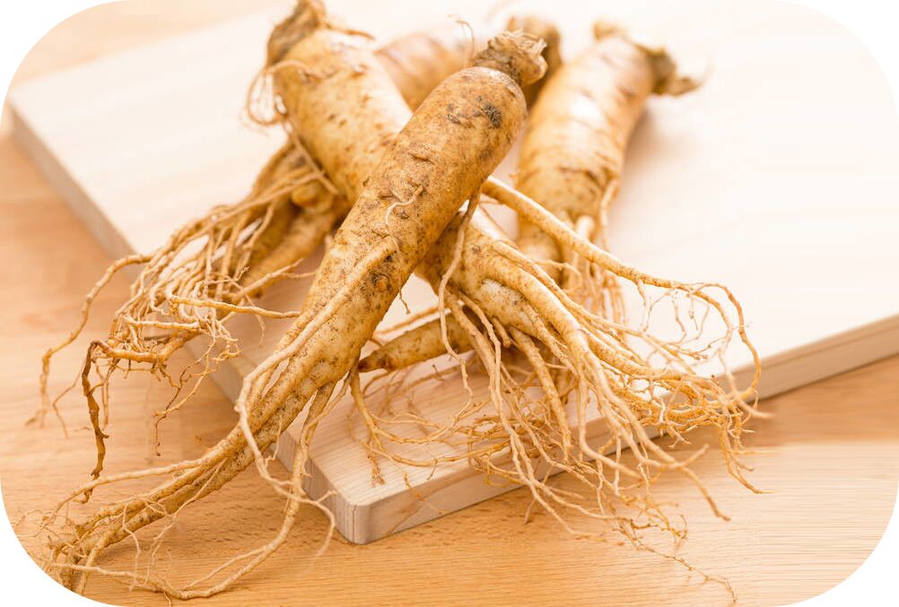 Ginseng Extract 