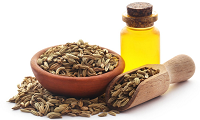 fennel seed/ oil