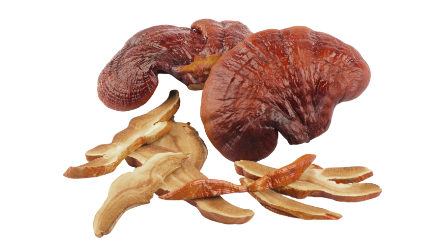 Organic Reishi Mushroom